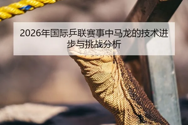 nian-guo-ji-ping-lian-sai-shi-zhong-ma-long-de-ji-shu-jin-bu-yu-tiao-zhan-fen-xi-1-265.jpg | Kaiyuan FIFA WorldCup
