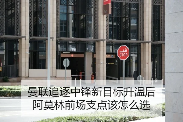 曼联追逐中锋新目标升温后 阿莫林前场支点该怎么选 - Kaiyuan FIFA WorldCup