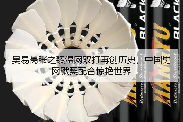 wu-yi-bing-zhang-zhi-zhen-wen-wang-shuang-da-zai-chuang-li-shi-zhong-guo-nan-wang-mo-qi-pei-he-jing-yan-shi-jie-2-153.jpg